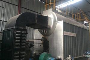 孟加拉造紙廠4噸生（shēng）物質鍋爐（lú）