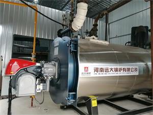 江西橡塑公司3噸燃氣導熱油鍋爐（lú）項目